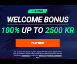 Casino bonus - 100% optil 1.000 kr